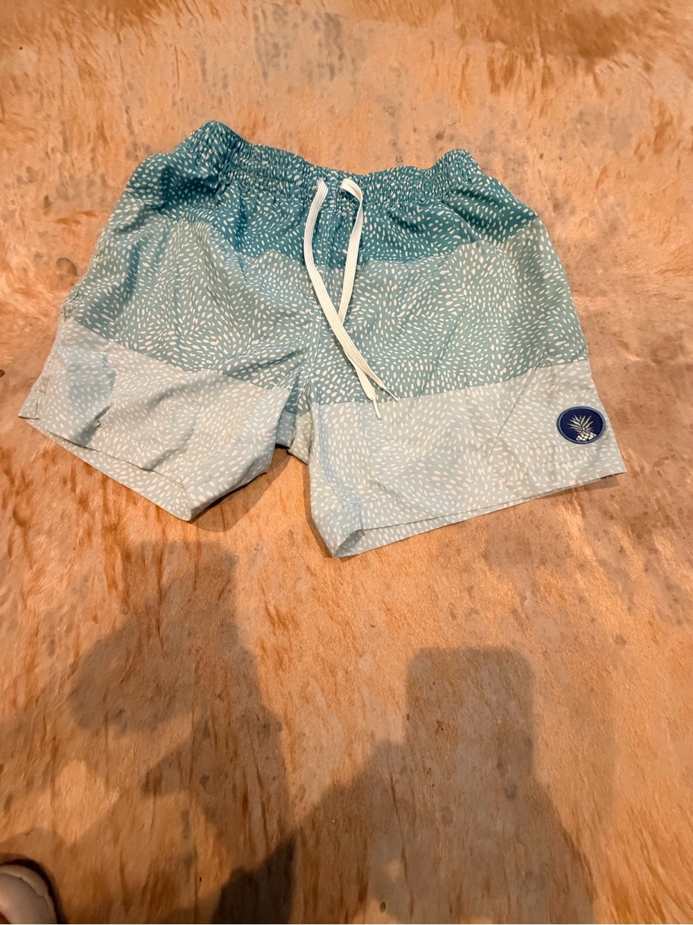 Men’s chubbies swim trunk